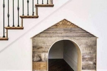 ワンちゃん！！