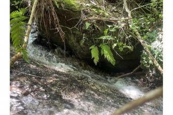 ＊;*.∴.✼ 夏休み 2021 ＊;*.∴.✼