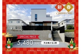 新春特別価格になりました！