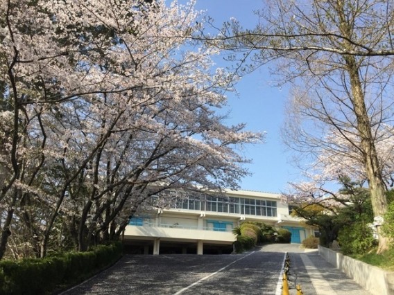 北小学校　徒歩約13分（1000m）